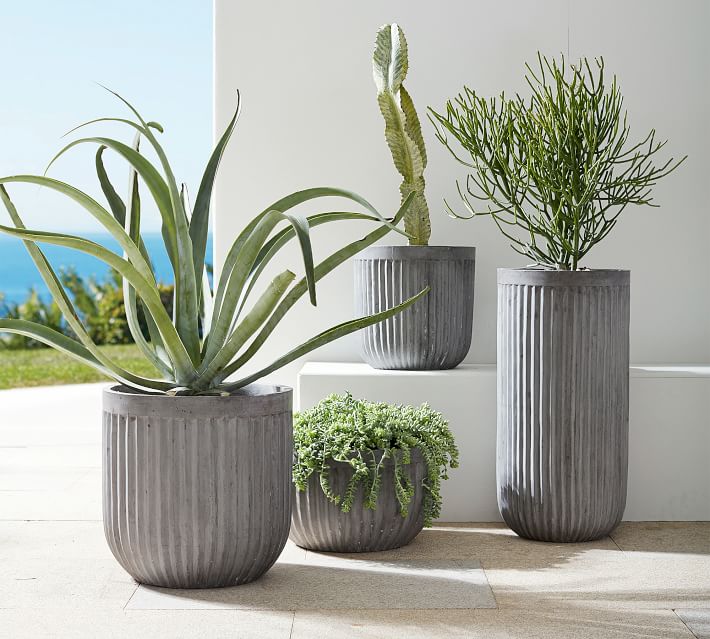 Buy Concrete Fluted Planters Online Pottery Barn Saudi Arabia